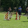 agility 2011-07-24